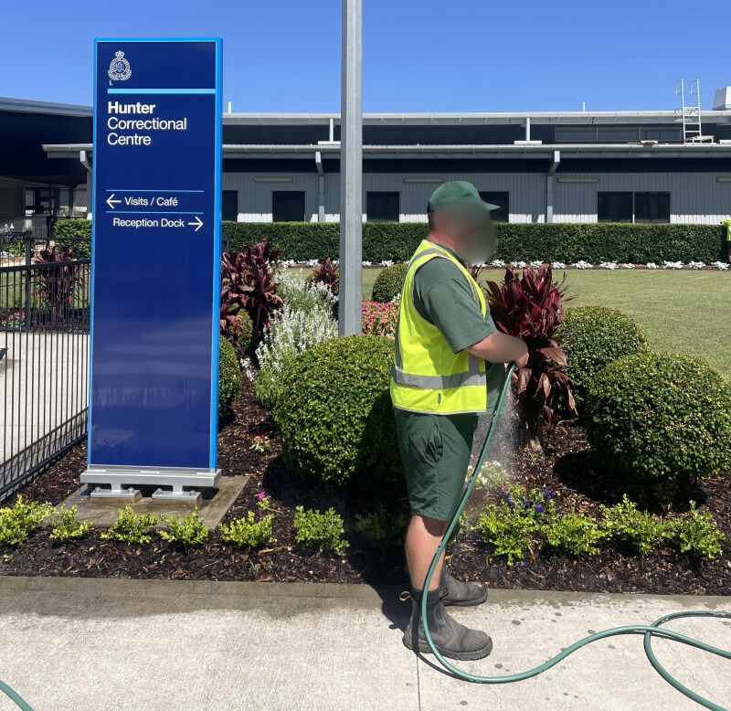 Man watering a garden
