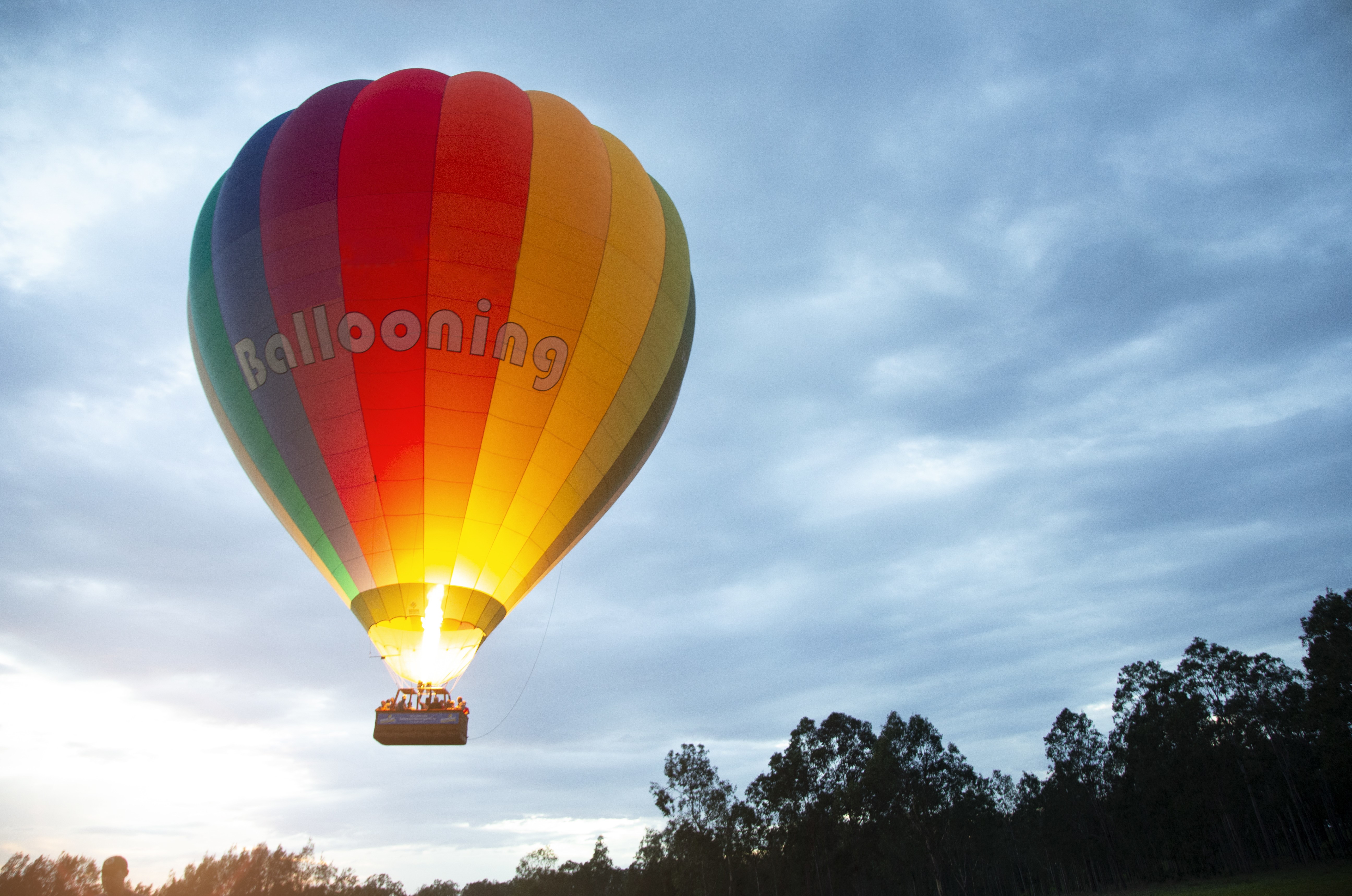 A photo of a hot air balloon at the Jacaranda Festival