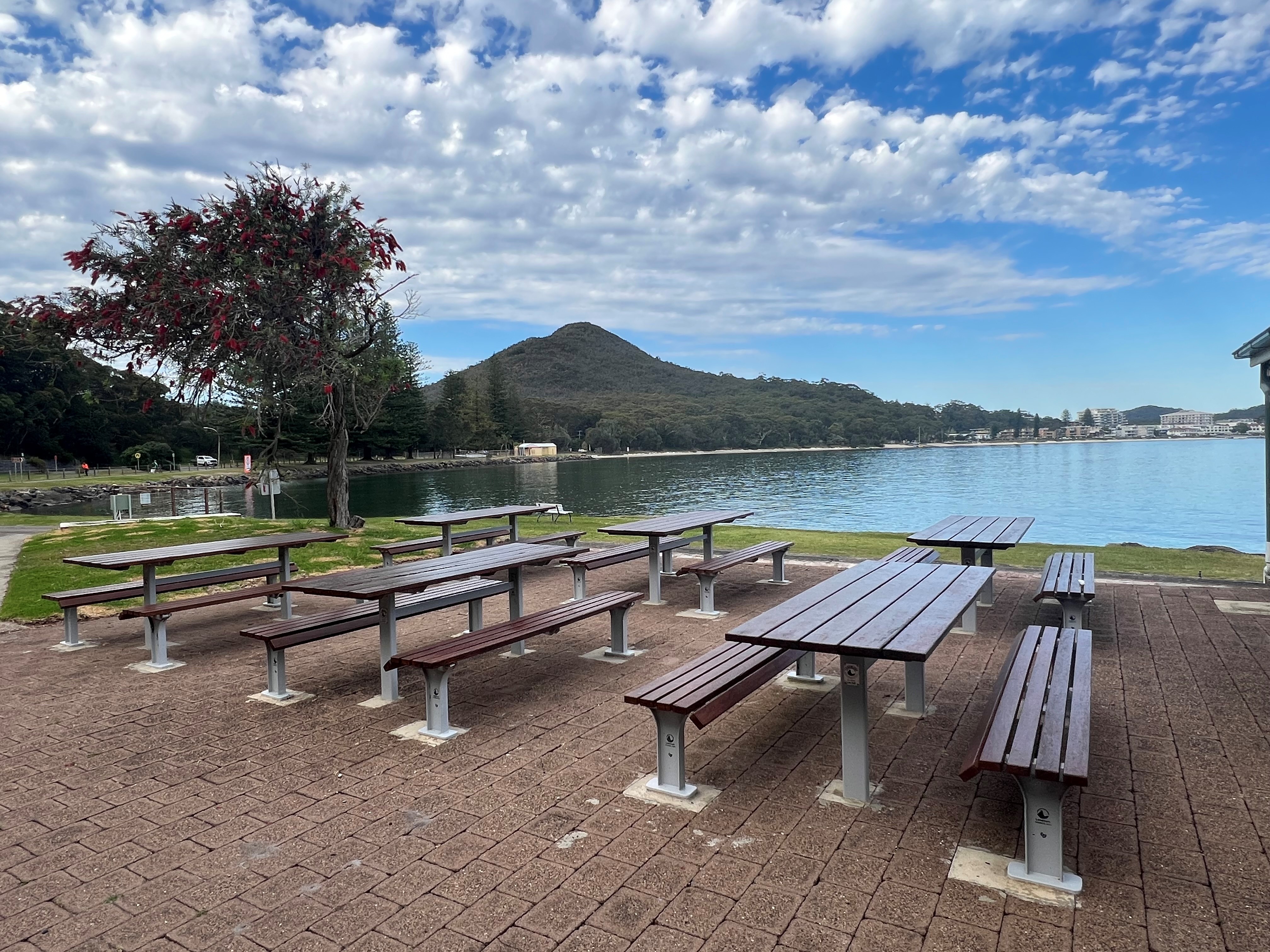 a series of wooden picnic tables in front of a sweeping view of the bay, with a mountain in the background