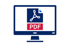 Image of a computer screen with a PDF icon in it.