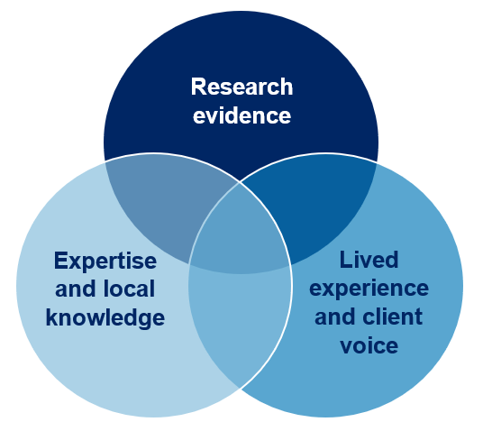 Venn diagram showing that the three types of evidence relate to each other.